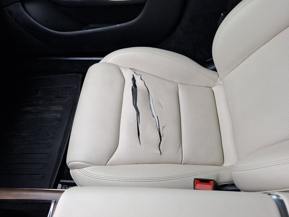 сидіння Tesla 