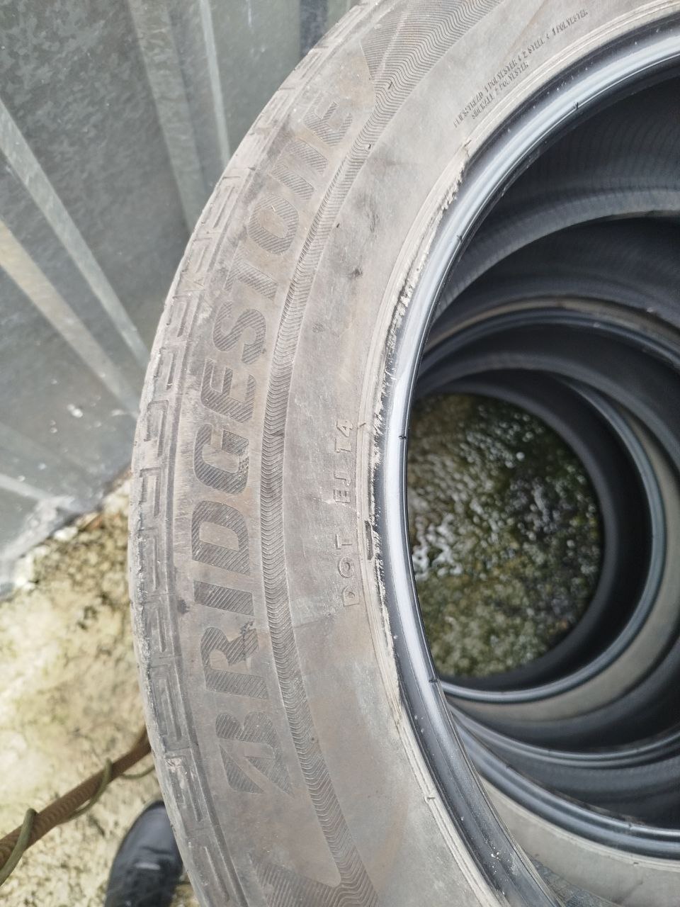 бріджики 2022 р. 