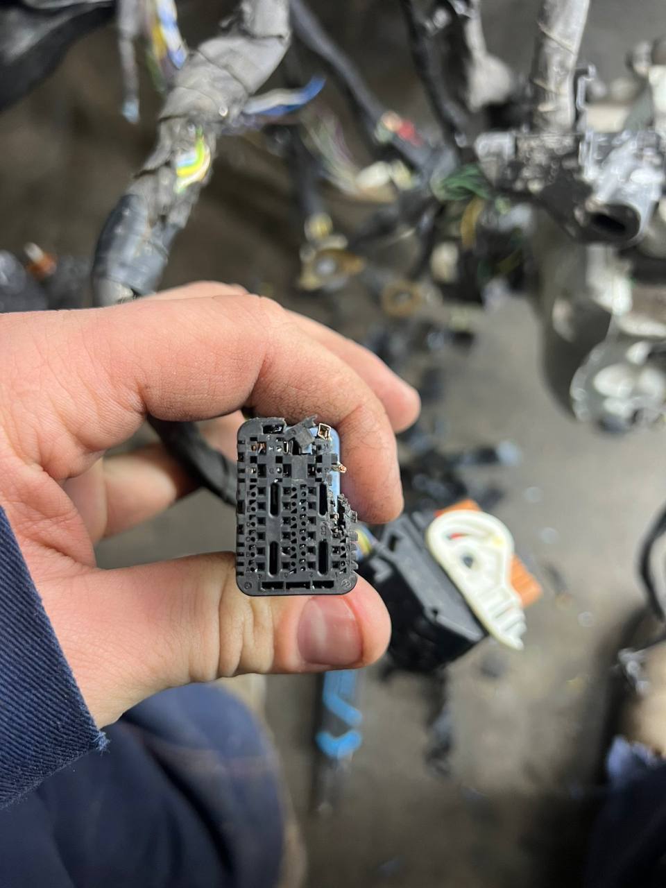 деталь із зображення Ford Escape 