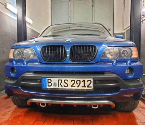 Купити кенгурятник BMW X5 