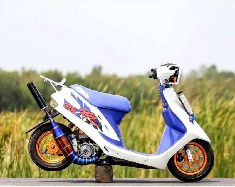 кросс Японця 