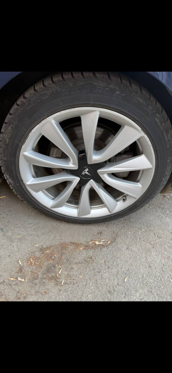 Купити диск Tesla 