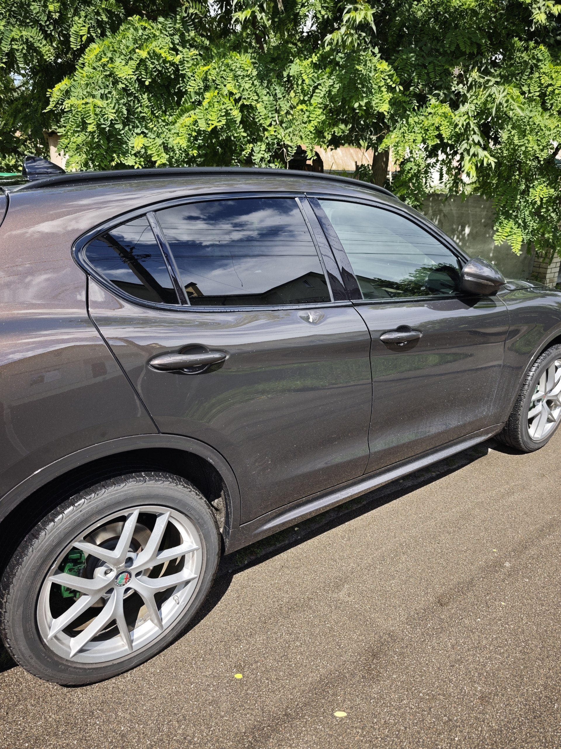Купити двері Alfa Romeo Stelvio 