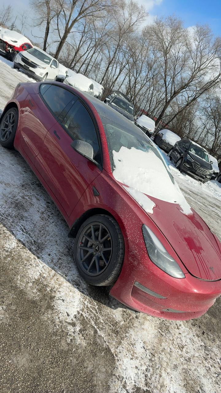 птф ліву Tesla 2022 р. 