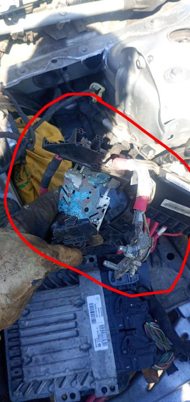 Купити капот Renault 