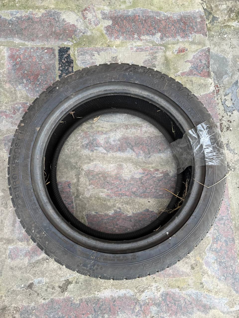 Купити комплект зими gislaved euro frost 6 215/50 r17 Acura 2020 р. 