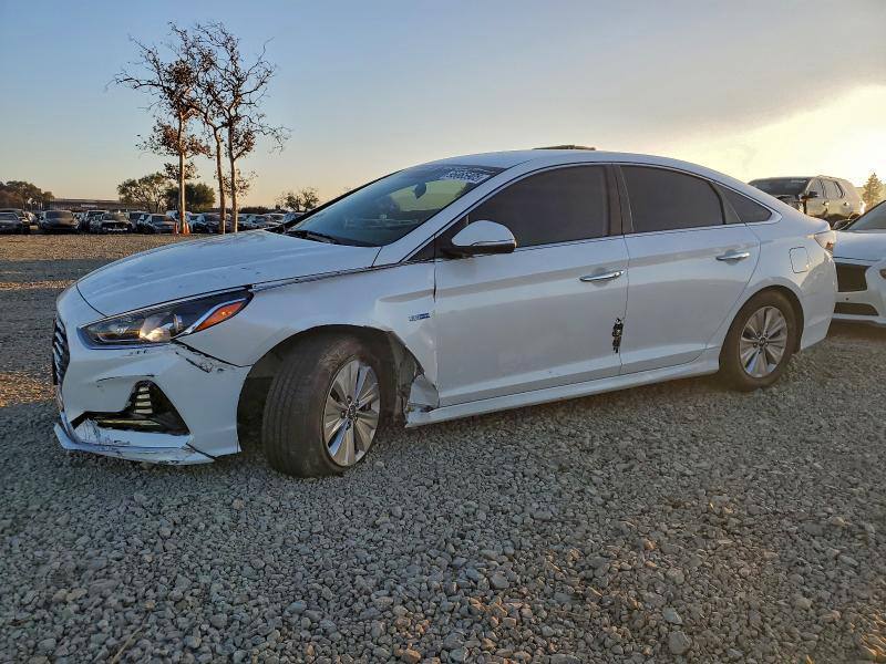 Купити крила переднє ліве Hyundai Sonata гибрид 2019 р. 