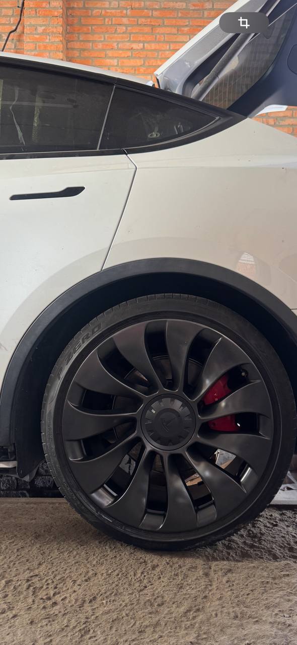 Купити P ZERO Tesla 