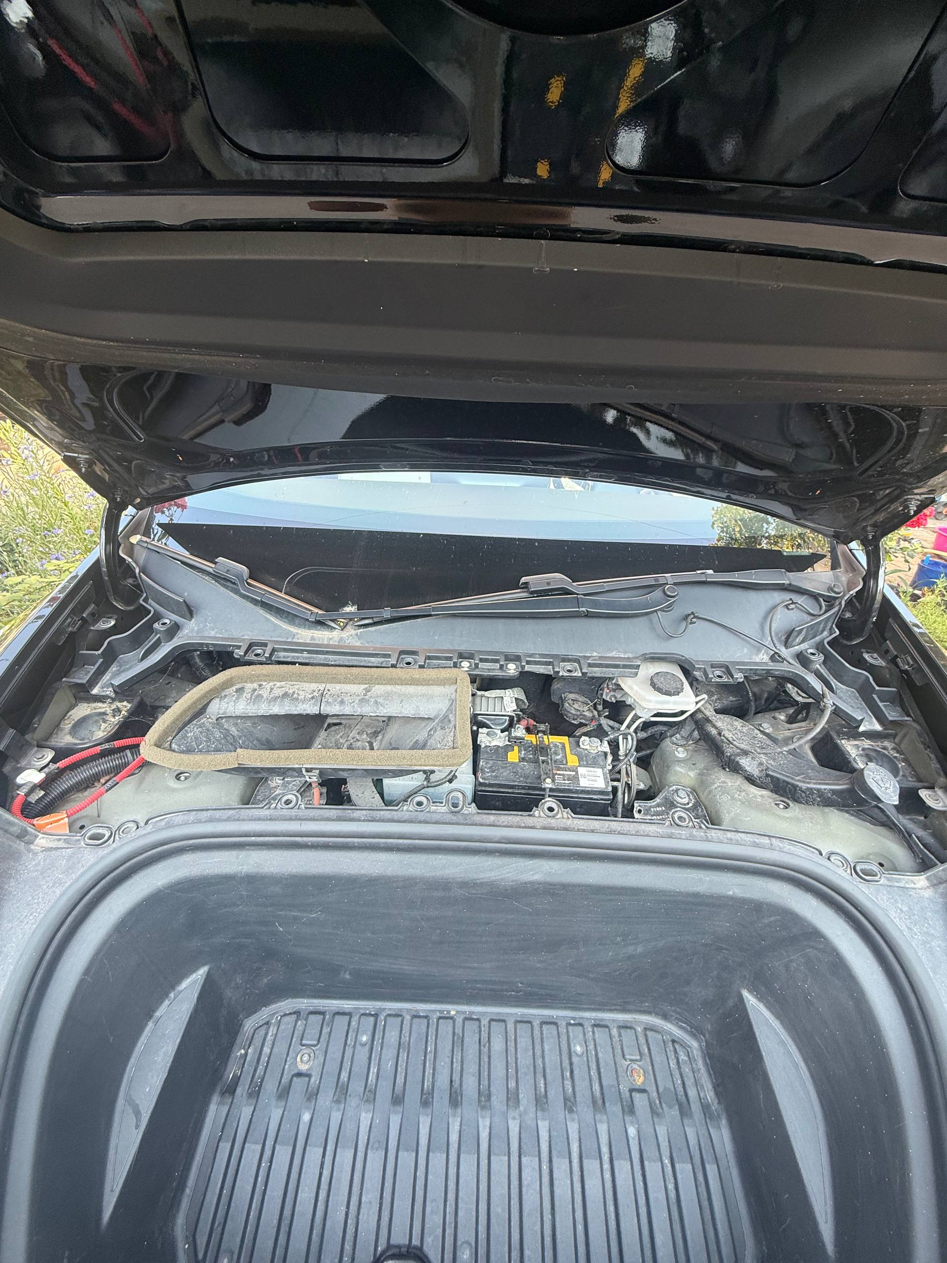 Купити панораму Tesla Model Y 2021 р. 